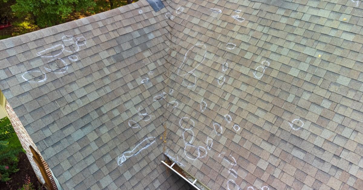 An asphalt-shingle roof with multiple slopes is marked with white chalk circles. Thick greenery is in the background.