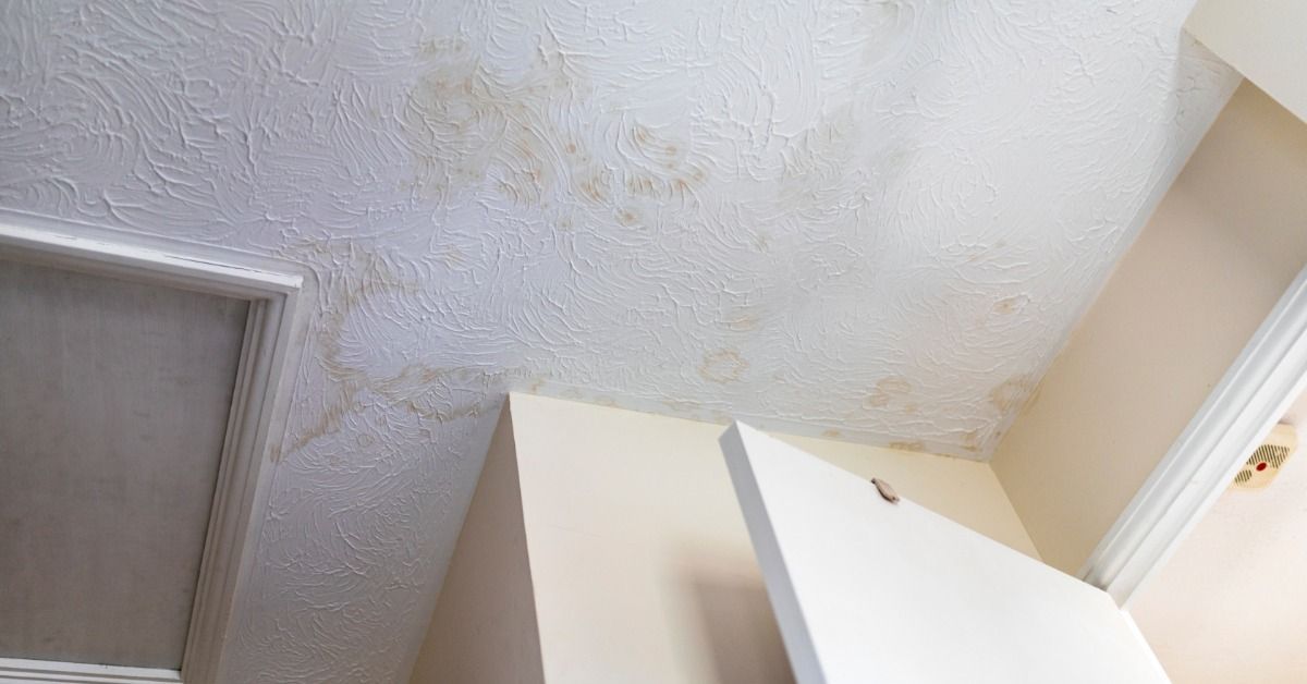Brown water stains spread across a textured white ceiling near the corner of a room. Part of a doorway is visible below.