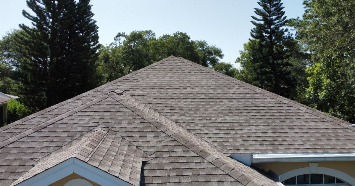 A home's asphalt shingle roof has several intersecting slopes and ridges. Leafy green trees surround the house.