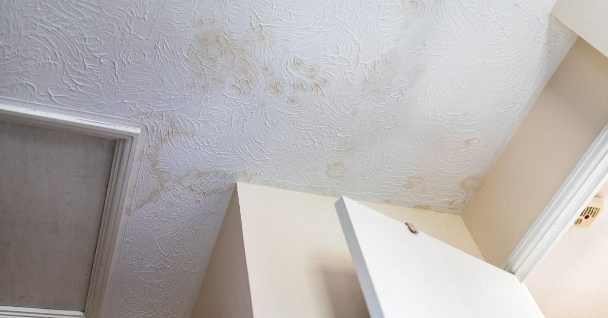 Above an open door, a textured white ceiling has several light-brown water stains and discolored patches.