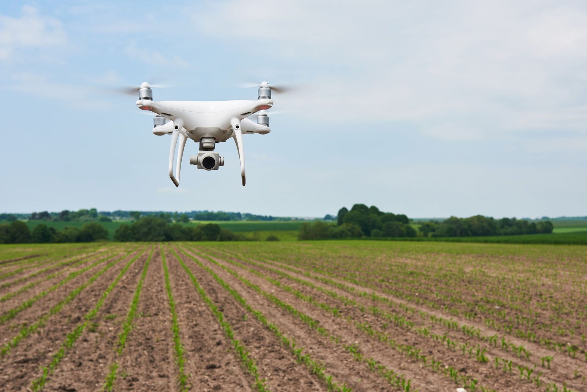 Um drone está voando sobre um campo de cultivo.