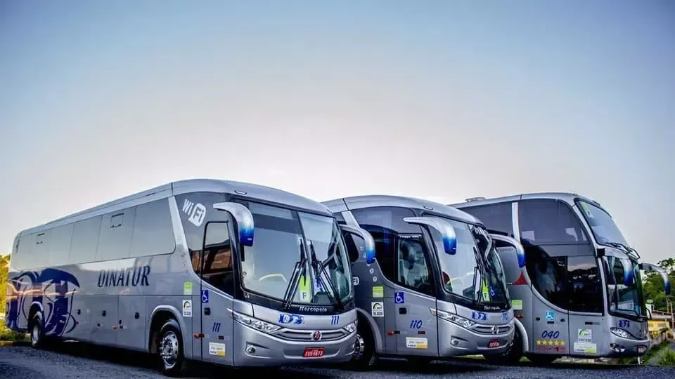 Um grupo de ônibus estão estacionados um ao lado do outro em uma estrada.