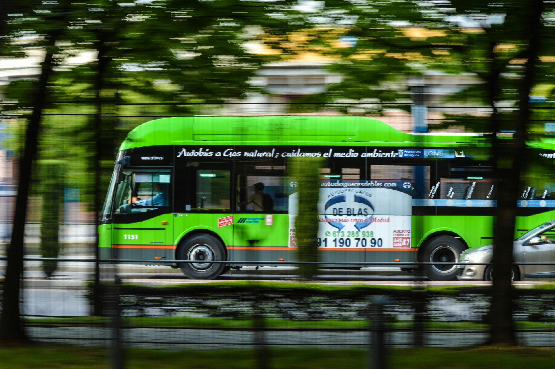 Ônibus urbano verde passando por árvores em um fundo de rua desfocado.