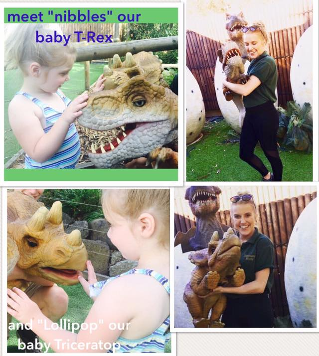 A collage of photos with the words meet nibbles our baby t-rex and lollipop our baby triceratops
