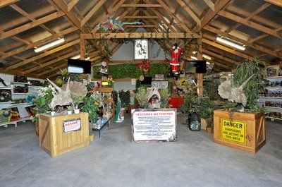 A large room with a dinosuar display.