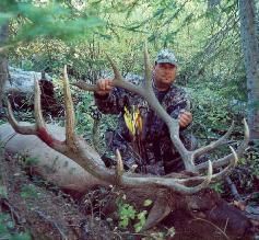 Elk