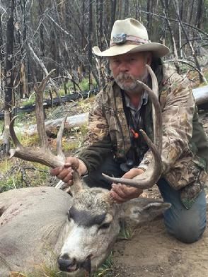 Elk