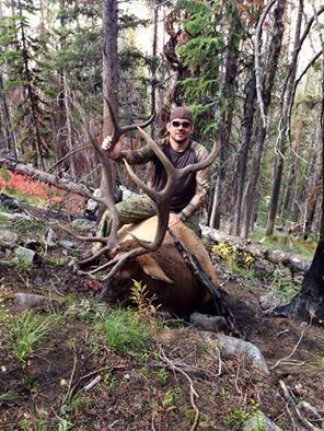 A man is standing next to a large elk in the woods.