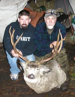 Mule Deer