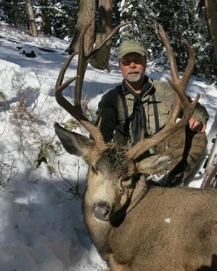 A man is standing next to a large deer in the snow.