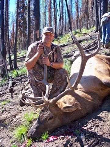 Elk
