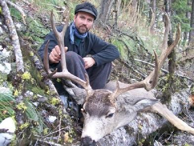 Mule Deer