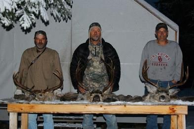 Three men are standing in front of a table with deer heads on it.