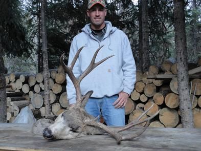 Mule Deer