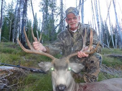 Mule Deer