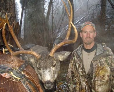 A man is standing next to a large deer in the woods.