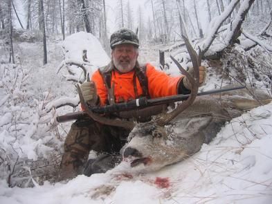 Mule Deer