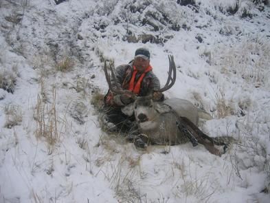 Elk