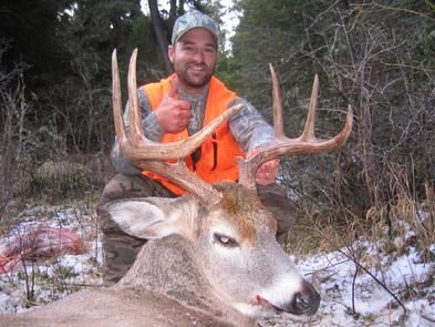 Elk