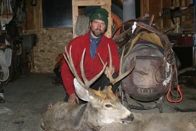 Elk