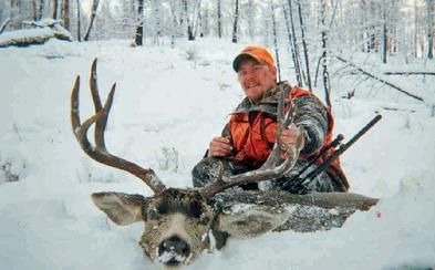 Mule Deer
