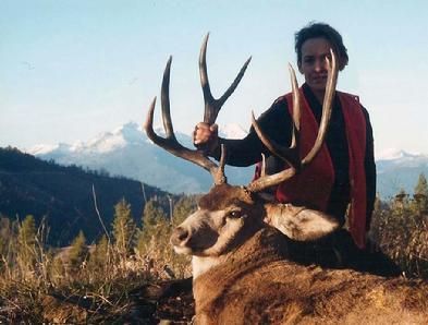 Mule Deer