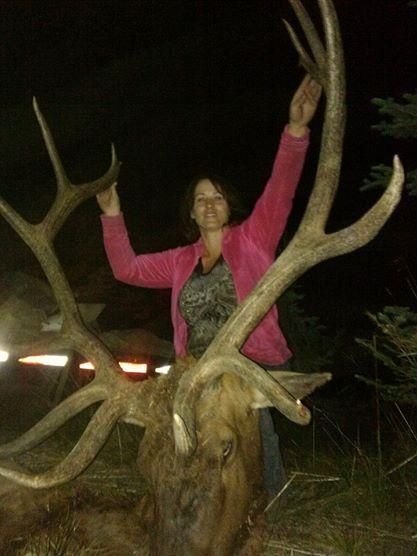 Elk