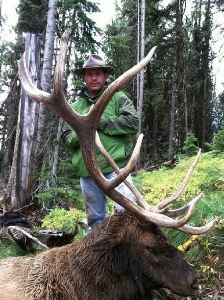 Elk