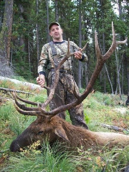 Elk