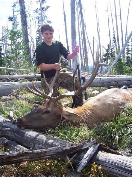 Elk