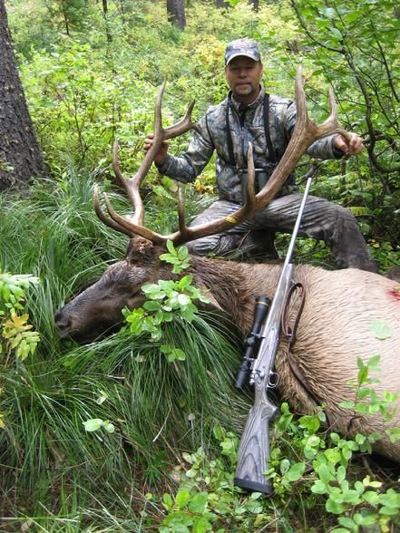 Elk