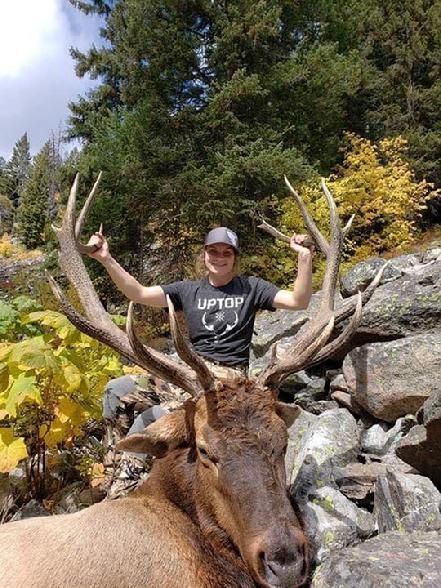 Elk