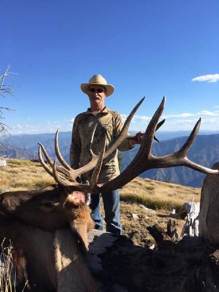 Elk