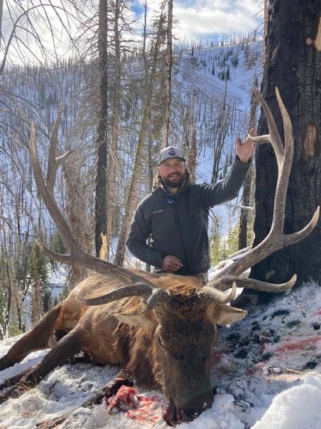 Elk