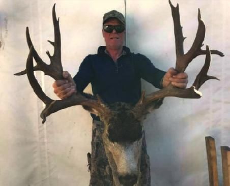 A man is holding a large deer head in his hands.