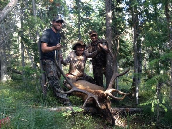 Elk