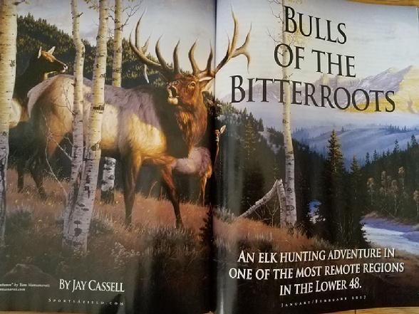 A book titled bulls of the bitterroots is open to a page