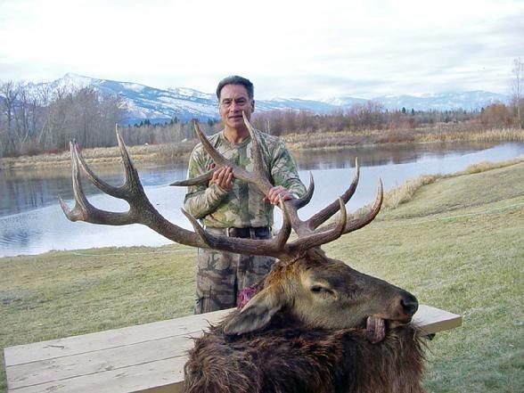Elk