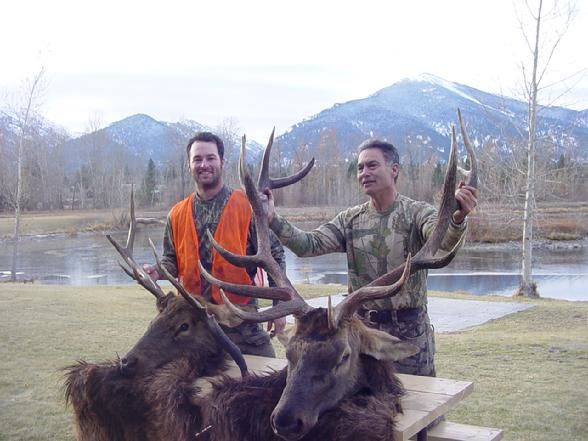 Elk