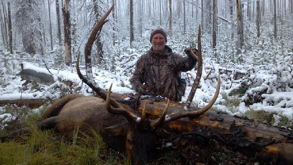Elk