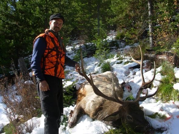 Elk