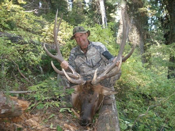 Elk