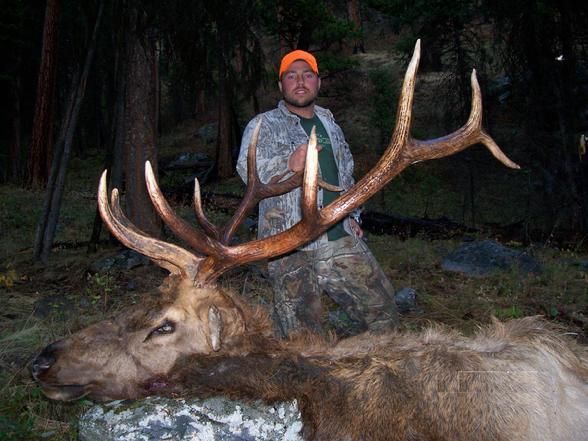 Elk