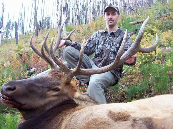 Elk
