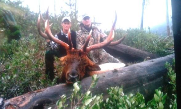 Elk