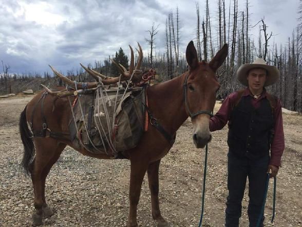 A man is standing next to a donkey with antlers on its back.