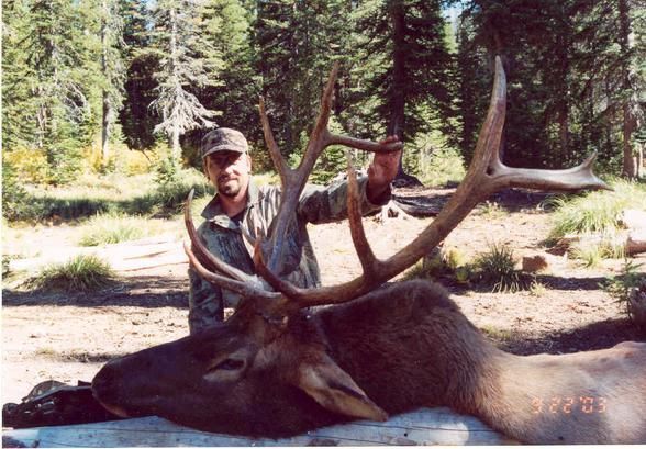 Elk
