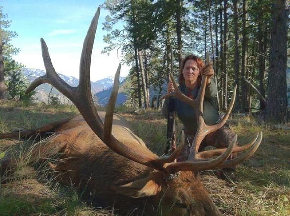 Elk