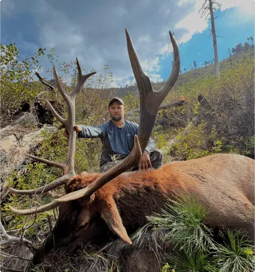 GUIDED IDAHO ELK HUNTS