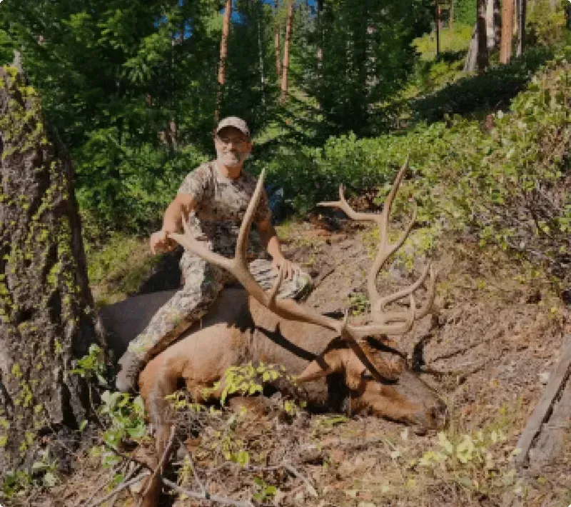 Elk